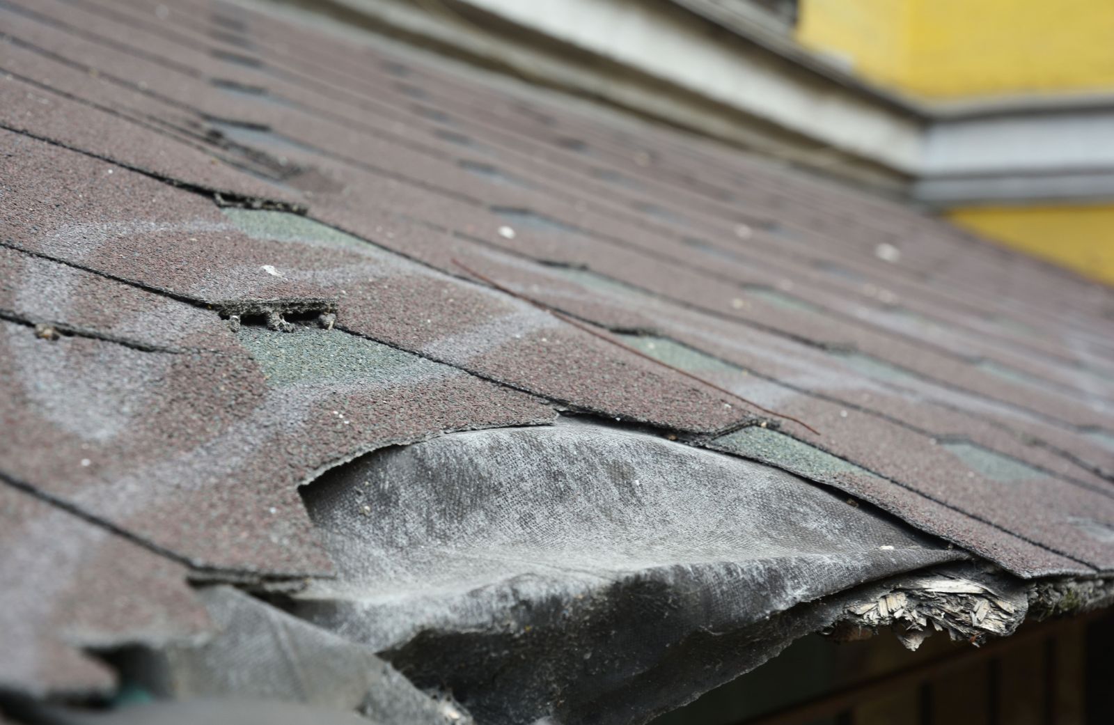 Sigma Roofing & Siding Inc. Images