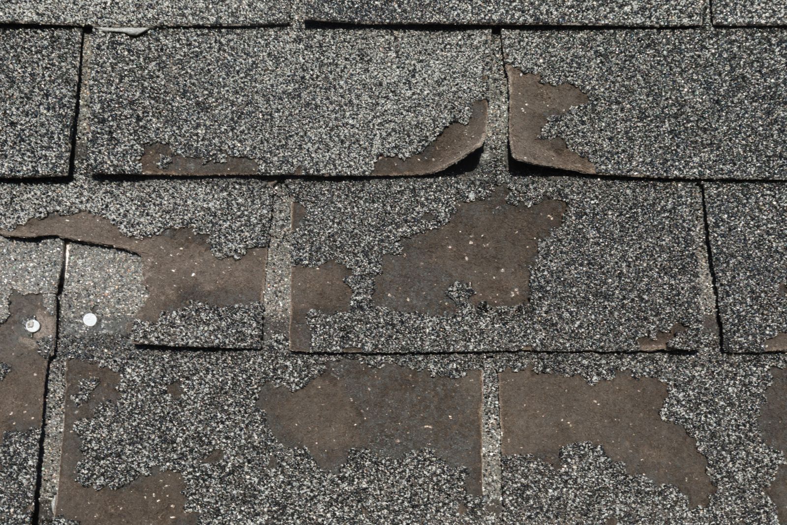Sigma Roofing & Siding Inc. Images