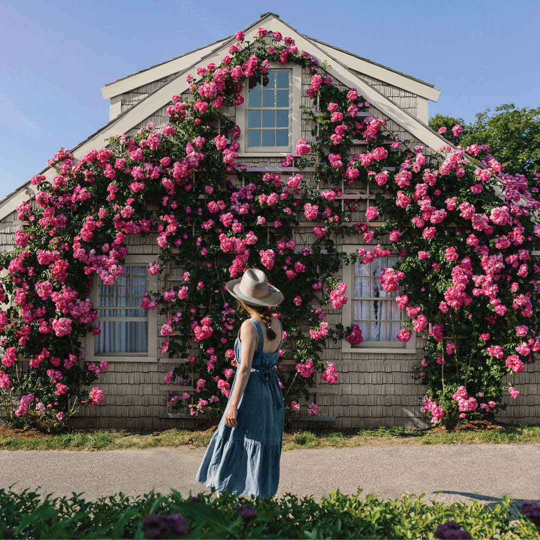 Sigma Roofing & Siding Inc. Images